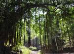 Trekking kapverdische Insel Santiago - von Cidade Velha nach Tarrafal: Lemba-Lemba bei Longueira