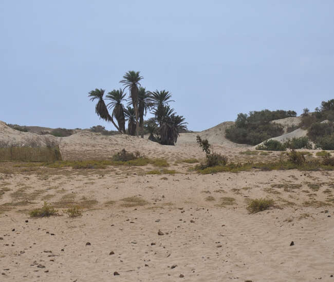 Kapverdische Insel Maio